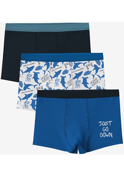 Yeni Sezon Baskili Erkek Cocuk Boxer 3'lu - S5FP33Z4