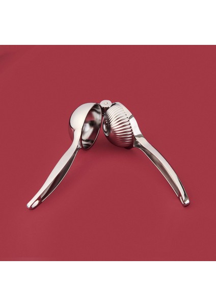 Limon Sıkacağı - Gri - 23X9 cm