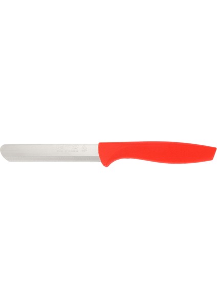 Lazer Dişli Bıçak - - 22 cm