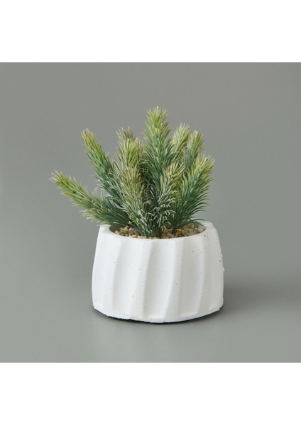 Beton Saksıda Real Touch Çam Yaprağı - - 25X10X10 cm