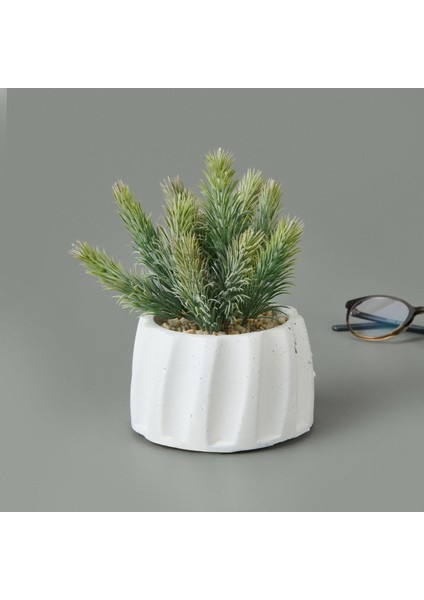 Beton Saksıda Real Touch Çam Yaprağı - - 25X10X10 cm fiyatları