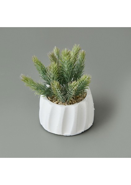 Beton Saksıda Real Touch Çam Yaprağı - - 25X10X10 cm modelleri