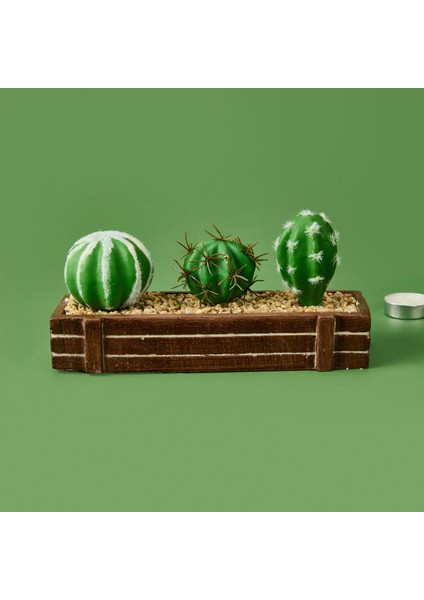 Mini Kasada Kaktüs - Kahverengi - 8X21 cm fiyatları