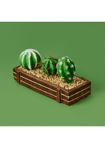 Mini Kasada Kaktüs - Kahverengi - 8X21 cm modelleri