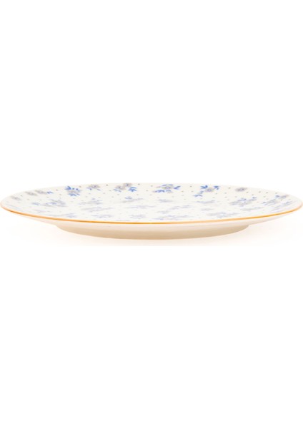 Porselen Robi Servis Tabağı - Renkli - 25 cm