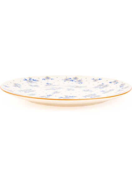 Porselen Robi Pasta Tabağı - Renkli - 19 cm