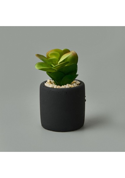 Mini Pot Sukulent - Siyah - 8X6X6 cm
