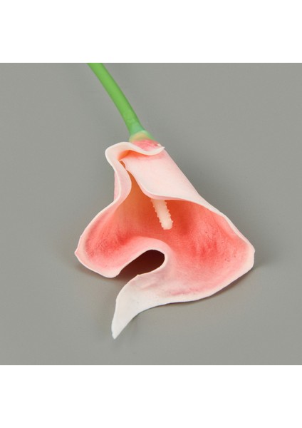 Dal Gala Çiçeği - - 33 cm