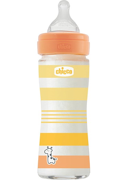Wellbeing Yavaş Akış Gri Cam Biberon 240 ml 0+ Ay fiyatları