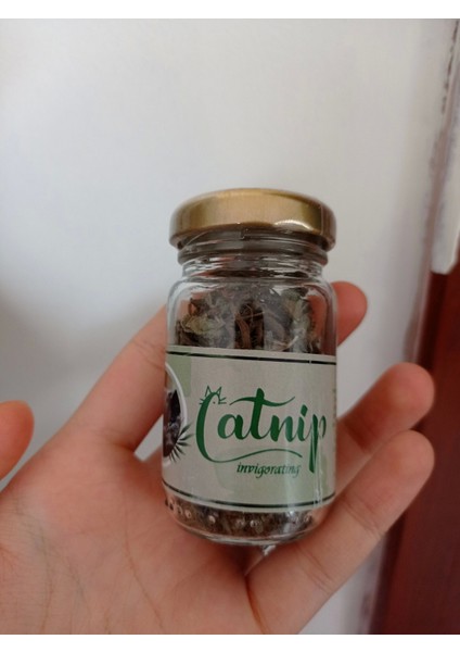 Catnip Doğal Kedi Otu - Kedi Nanesi