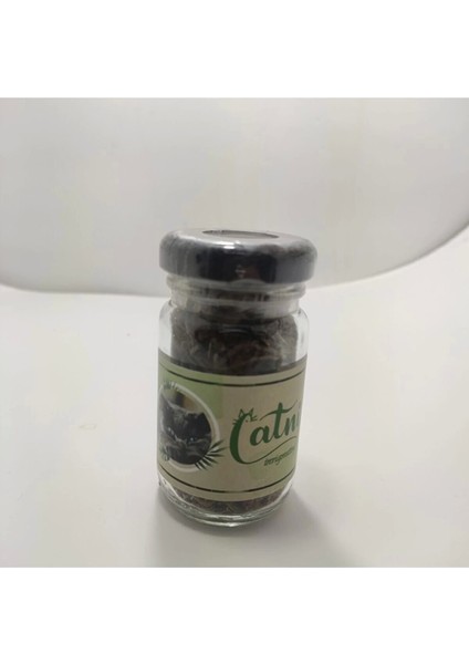 Catnip Doğal Kedi Otu - Kedi Nanesi