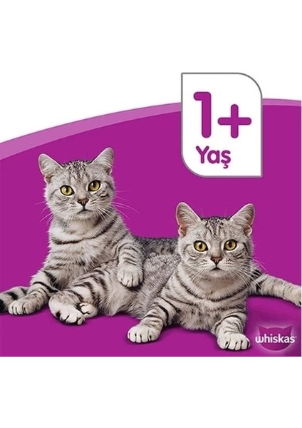 Whiskas Ton Balıklı ve Sebzeli Yetişkin Kedi Maması 300 gr