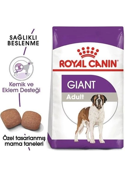 Royal Canin Giant Adult Dev Irk Yetişkin Köpek Maması 15 kg