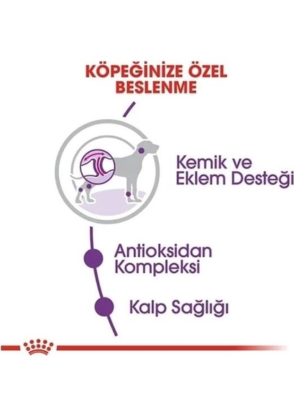 Royal Canin Giant Adult Dev Irk Yetişkin Köpek Maması 15 kg