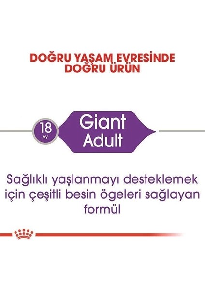 Royal Canin Giant Adult Dev Irk Yetişkin Köpek Maması 15 kg