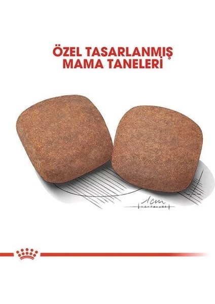 Royal Canin Giant Adult Dev Irk Yetişkin Köpek Maması 15 kg