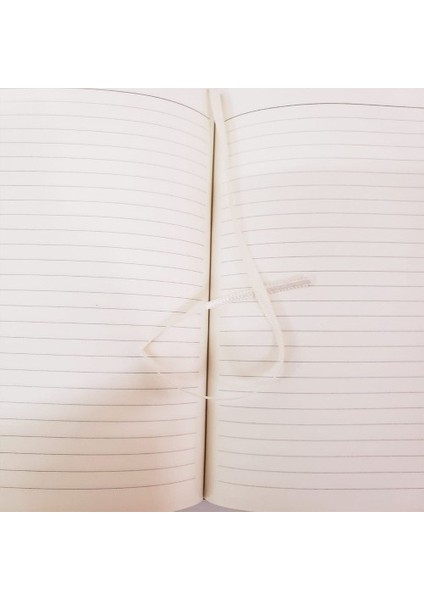 Dekoratif Yeşil Deri Kaplama Defter Ahşap Kutulu Hediyelik Vip Set