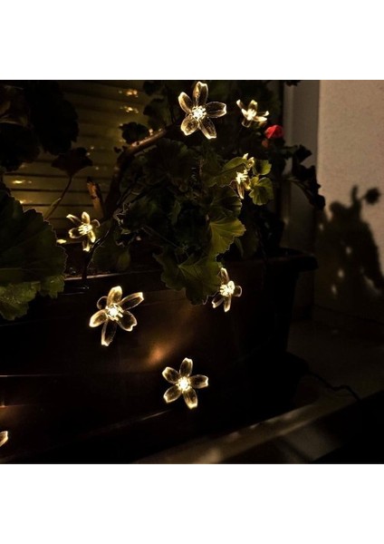 Solar 5m 50 LED Papatya Gün Işığı 8 Fonksiyonlu