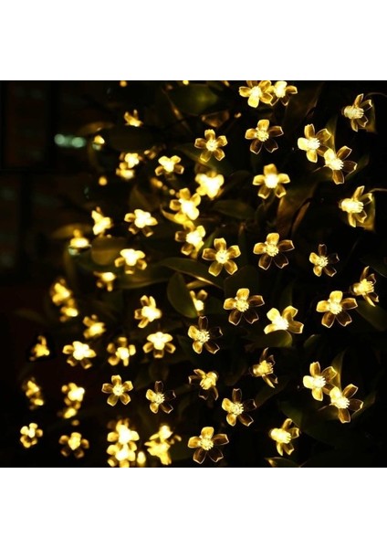 Solar 5m 50 LED Papatya Gün Işığı 8 Fonksiyonlu