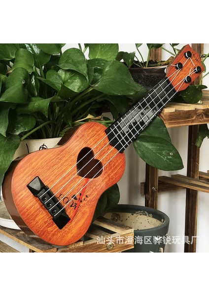 Ukulele Erkek Kız (Yurt Dışından)