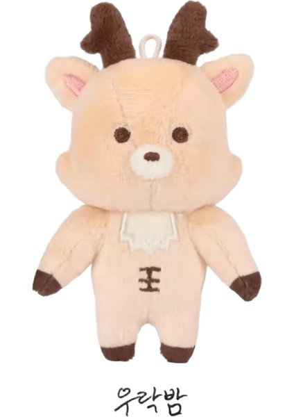 Kpop Idol Rııze 2024 Sevgililer Günüze 10CM Bebek Anahtarlık Shotaro Wonbın Eunseok Sungchan Sohee Anton Doldurulmuş Bebekler Anahtar Zincirleri Renk: Sungchan A / Boyut: 10 cm (Yurt Dışından)