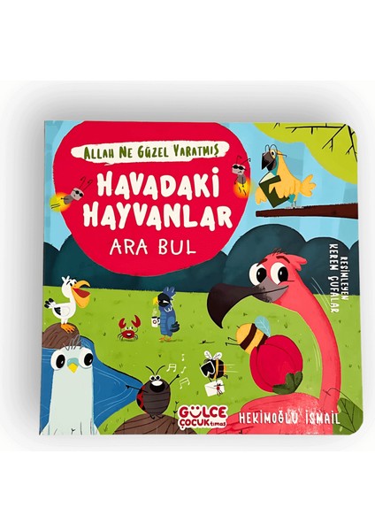 Allah Ne Güzel Yaratmış - Ara Bul Set (4 Kitap)