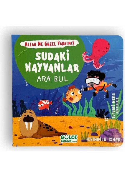 Allah Ne Güzel Yaratmış - Ara Bul Set (4 Kitap)