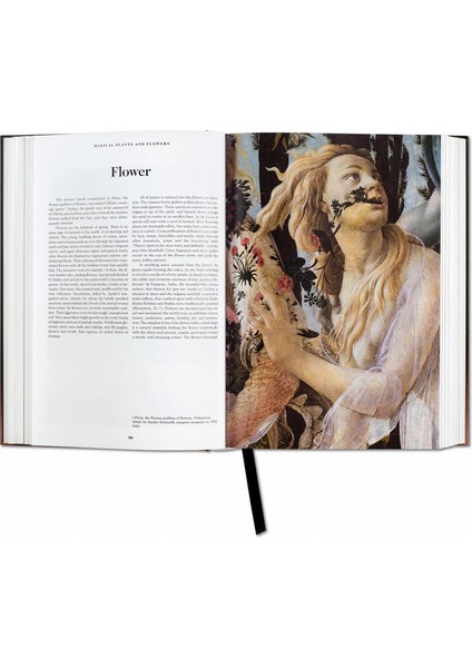 The Book of Symbols. Reflections on Archetypal Images