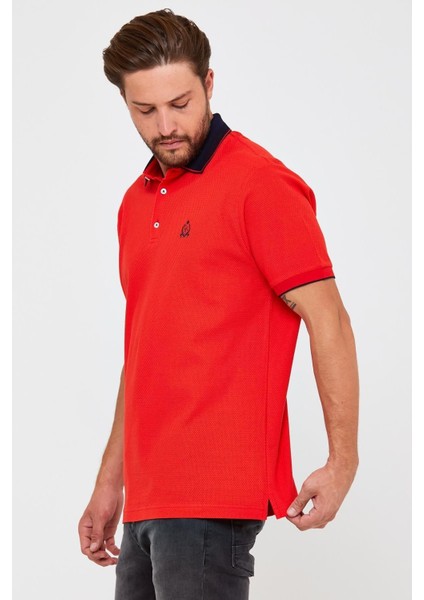 Erkek Polo Yaka Tişört Kahverengi fırsatları