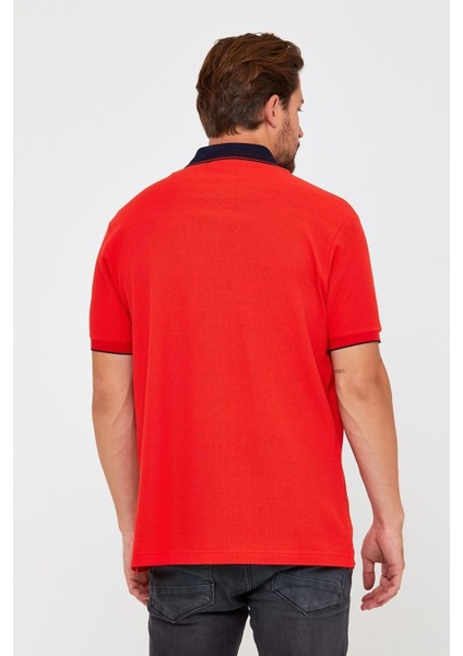 Erkek Polo Yaka Tişört Kahverengi indirimleri