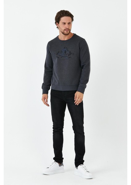 Erkek Comfort Baskılı Bisiklet Yaka Basic Antrasit Sweatshirt fiyatları