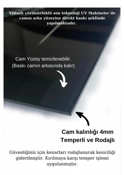 Işıltılı Mücevher Lotus Çiçeği Tasarım Kırılmaz Lüks Cam Tablo Ultra Canlı Renkler Lüks Hediye Tablo