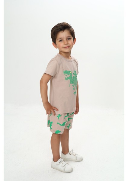 Erkek Çocuk Kabaran Dinazor Baskılı Şortlu Takım fiyatları
