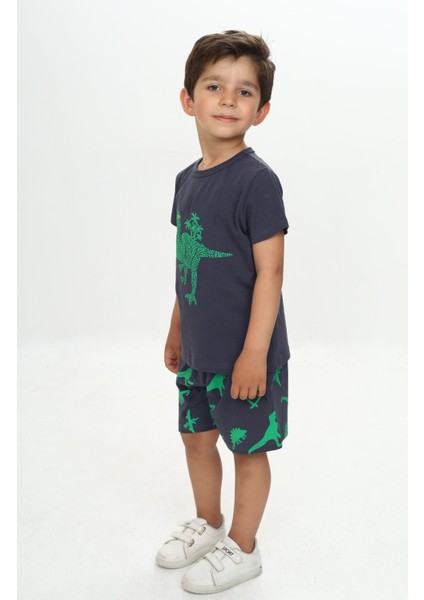 Erkek Çocuk Kabaran Dinazor Baskılı Şortlu Takım fiyatları