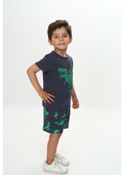 Erkek Çocuk Kabaran Dinazor Baskılı Şortlu Takım modelleri