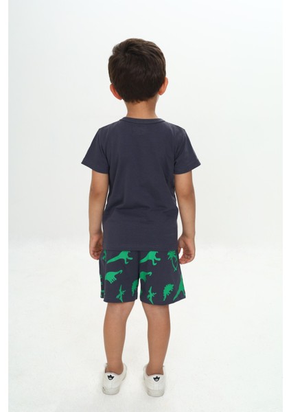 Erkek Çocuk Kabaran Dinazor Baskılı Şortlu Takım fırsatları