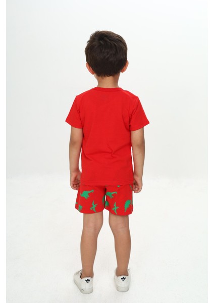 Erkek Çocuk Kabaran Dinazor Baskılı Şortlu Takım modelleri