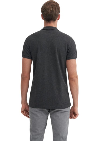 Erkek Polo Yaka Slim Fit Düz Pamuklu Tişört 4613 modelleri