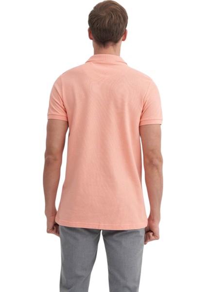 Erkek Polo Yaka Slim Fit Düz Pamuklu Tişört 4613 modelleri