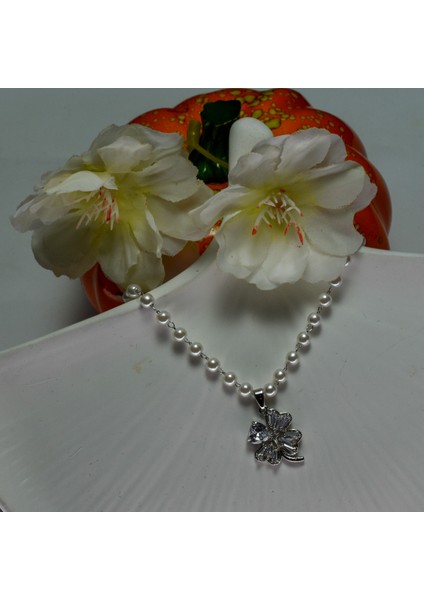 Chainbysilver Çelik Gümüş Rengi Taşlı Yonca Kolye