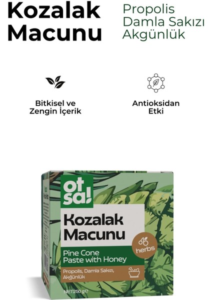 Çam Kozalak Macun 250 gr fiyatları