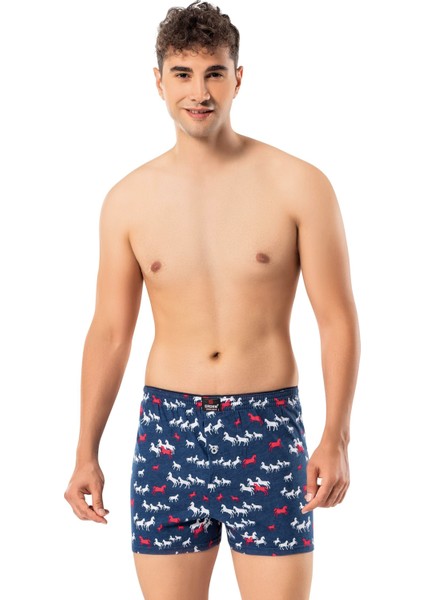 Erdem Karışık 10'lu Desenli Penye Boxer S/m Beden 1400DSN fırsatları