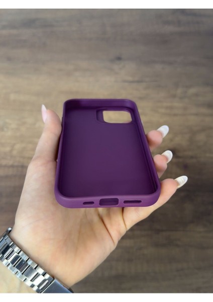 Iphone 12/12 Pro Silikon Kılıf Xfab