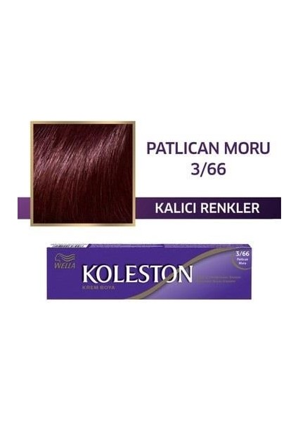 Single Saç Boyası 3-66 Patlıcan Moru