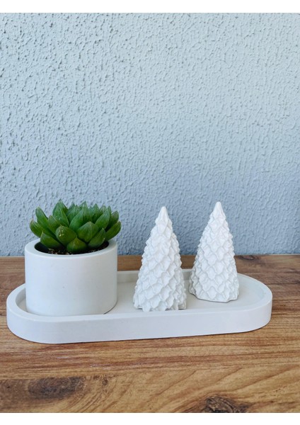 Modern Minimalist Seramik Saksı – Şık ve Doğal