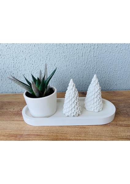 Modern Minimalist Seramik Saksı – Şık ve Doğal