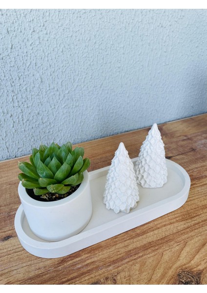 Modern Minimalist Seramik Saksı – Şık ve Doğal