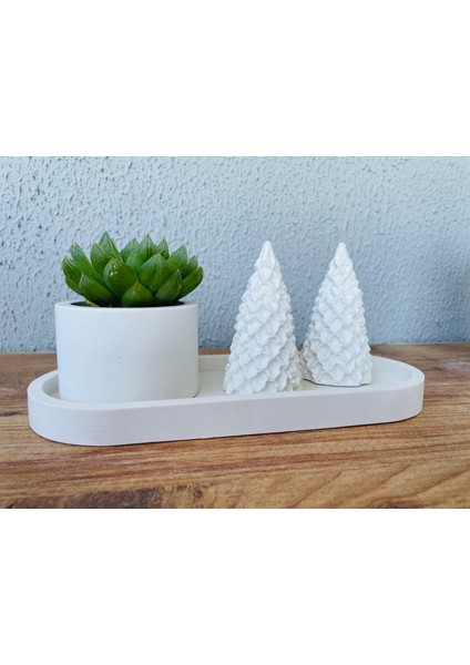 Modern Minimalist Seramik Saksı – Şık ve Doğal