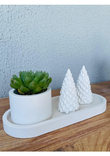 Modern Minimalist Seramik Saksı – Şık ve Doğal