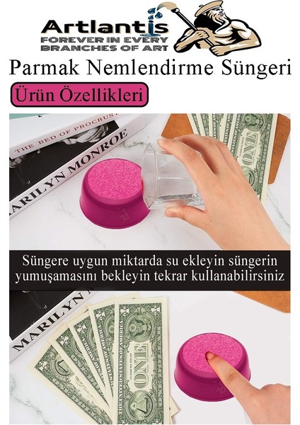 Parmak Nemlendirme Süngeri Mavi 2 Adet Renkli Masaüstü Pul Süngeri Para Sayma Süngeri Poşet Kağıt Ayırma Süngeri Büro
